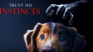 Good Boy (2025) | Full Movie Recap