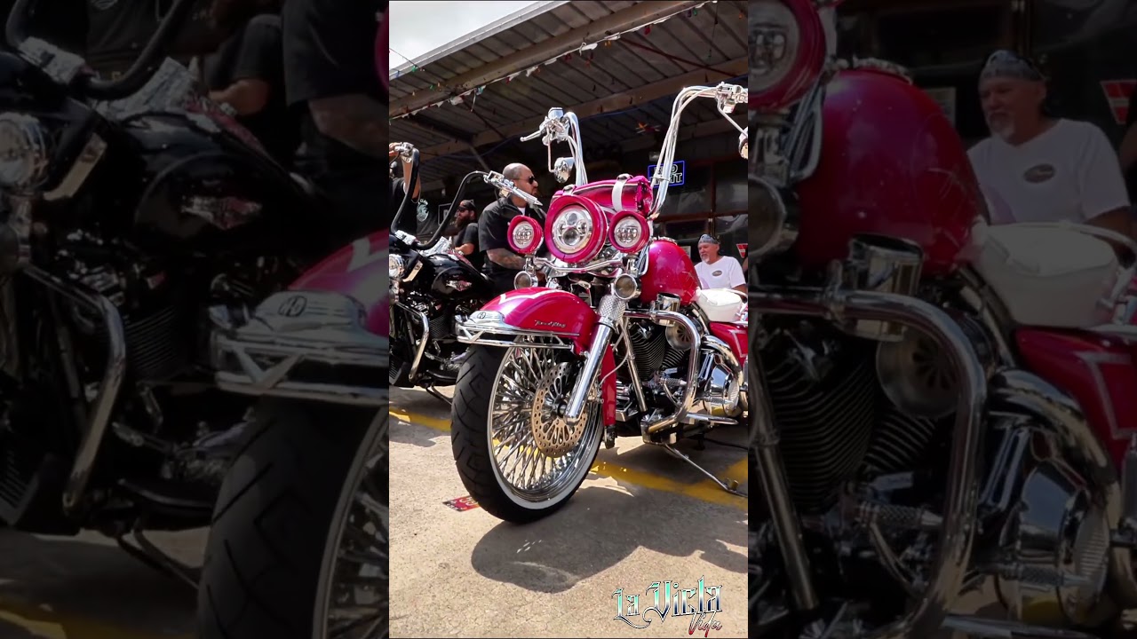 Line em up... Bring Out The Viclas La Vicla Vida 