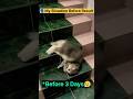 POV: My Situation Before Result🥴🥹 #cat #catvideos #funny #relatable