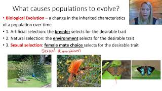 Mechanisms of Evolution