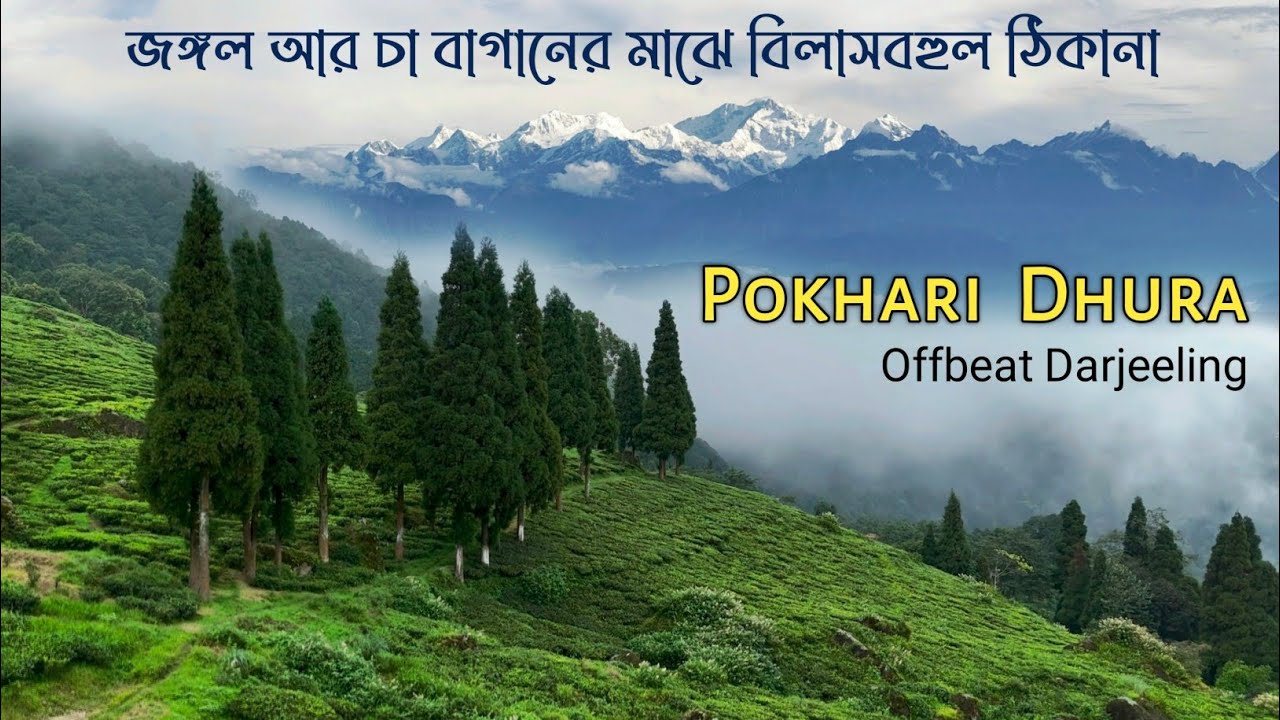 Pokhari Dhura Village near Darjeeling ↑ Travel Vlog #217 with Santanu Ganguly