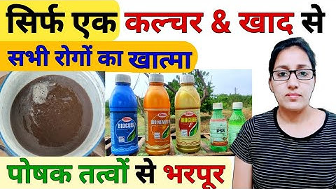 Trichoderma Viride / Paecilomyces lilacinus / Pseudomonas /psb / Rhizobium ka culture | plant growth