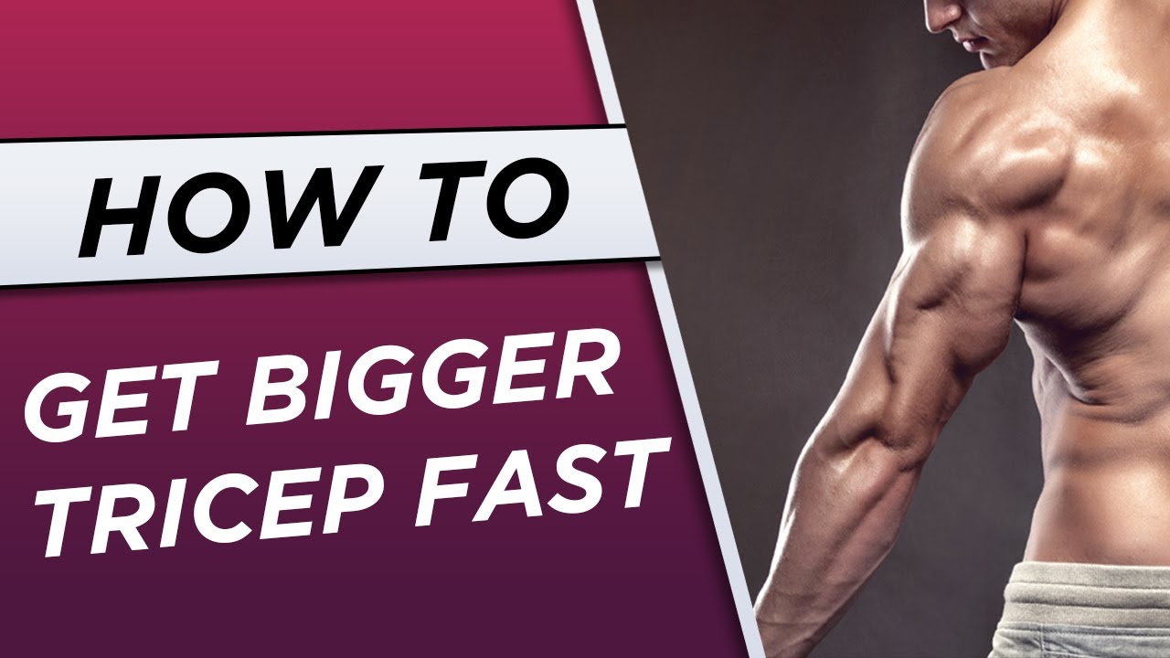 Top 4 Exercises For Triceps Beginner ll Raja Fitness Gym