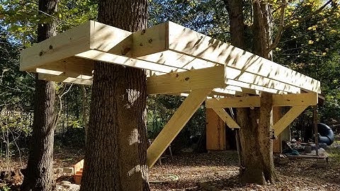 How to Build a Backyard Treehouse - Part 1