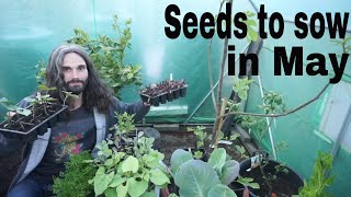 What to plant in May | Seeds to sow in May | What can I plant in May | Spring planting