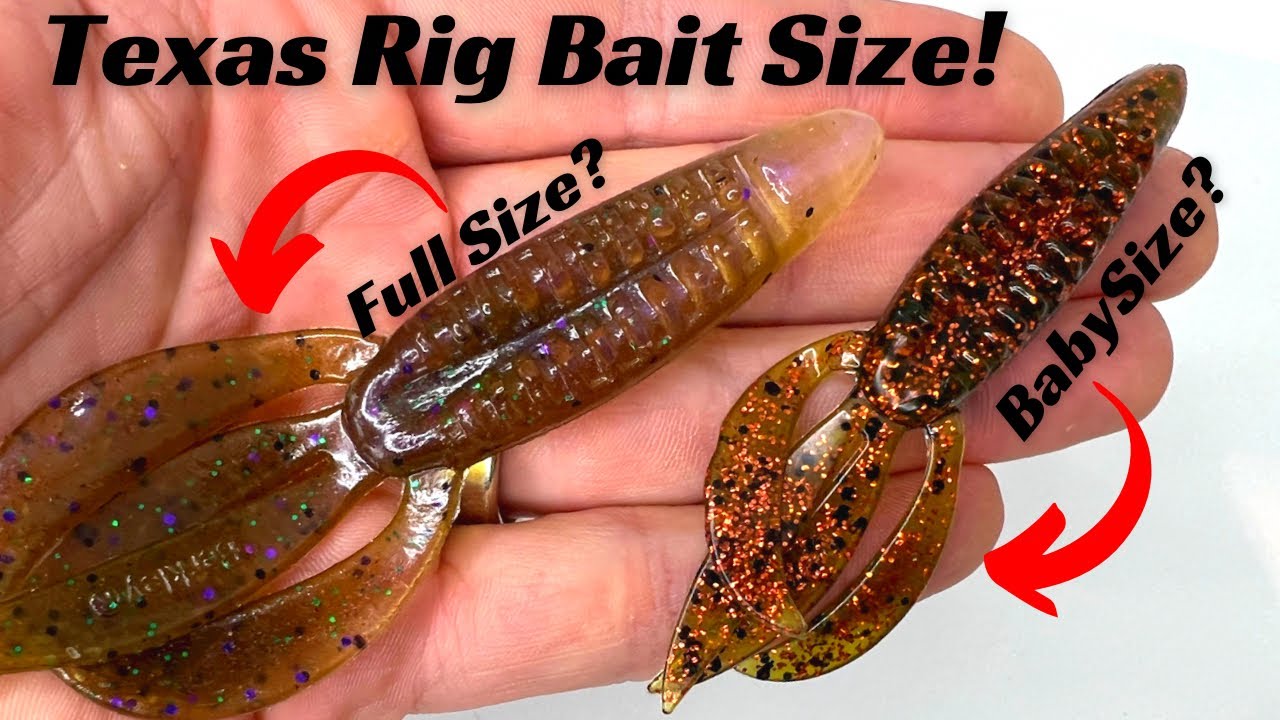 The Size Of Your Texas Rig Bait Is Critical To Your Fishing