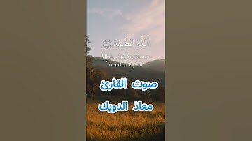 سورة الإخلاص كاملة برواية ورش عن نافع بصوت القارئ الشيخ معاذ الدويك