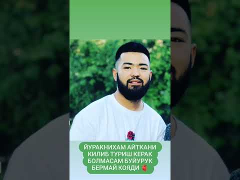 Shukurullo Olimjonov Xechkim Eshitmagan Ashula 🥺🥀/Шукурулло олимжонов Ашулани Номи каментарияда