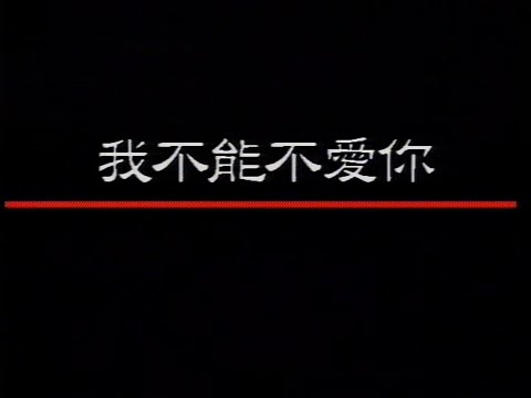 音樂磁場-我不能不愛你【原聲伴唱】『 我怎能不愛你 相識不容易茫茫長夜多淒淒 我願陪伴著你我願陪伴著你』#音樂磁場 #我不能不愛你 #翻唱【動態歌詞/Lyrics Video】