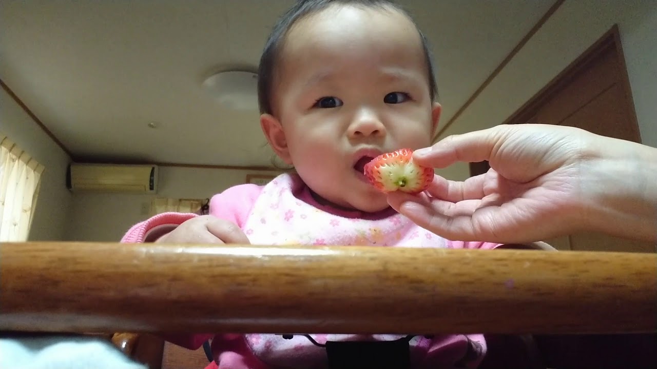 育児 1歳0ヶ月女の子 イチゴの丸かぶり Youtube