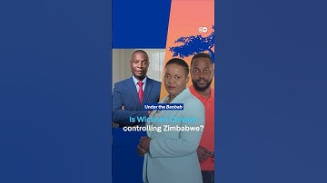 Chivayo’s involvement in the Zimbabwean government