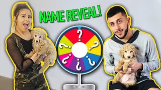 WHAT DID WE NAME HIM? *SPIN THE WHEEL GAME* Net Worth