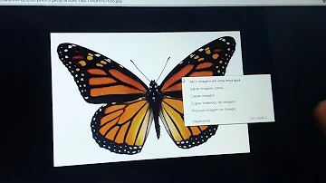 Como imprimir no computador uma imagem?