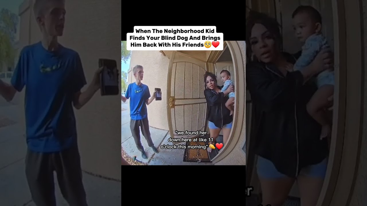 The Moment My Lost Blind Dog Came Home Helping Neighbors Shorts