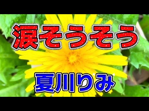 🎶 涙そうそう/夏川りみ　歌詞字幕付き