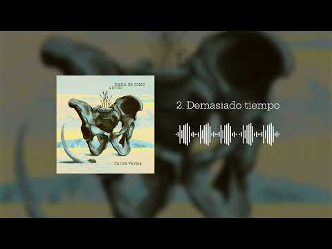 Carlos Varela - Demasiado Tiempo (Audio Cover)