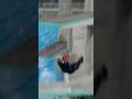Donald Trump USA 🇺🇸 high diving Part III. 😭😭👍👍