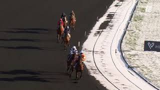 Vidéo de la course PMU PRIX DE PAIMBOEUF