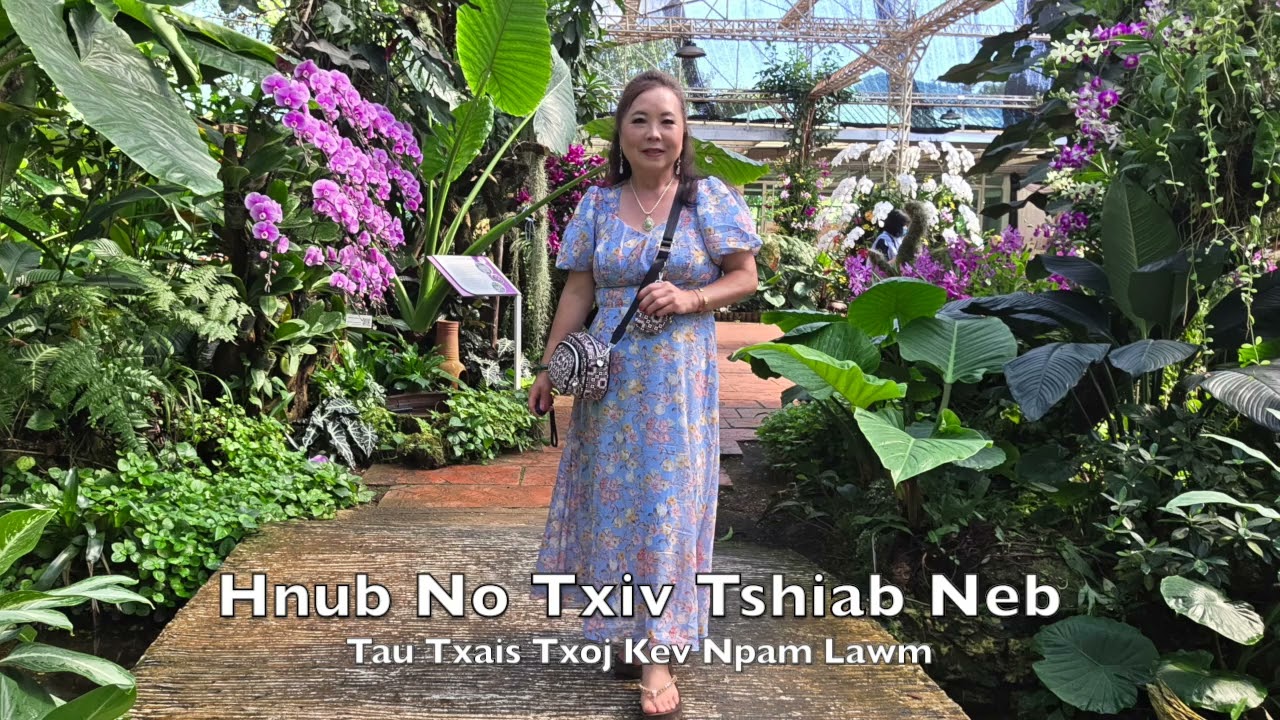 Hnub No Txiv Tshiab Neb Tau Txais Txoj Kev Npam Lawm 1-2-26