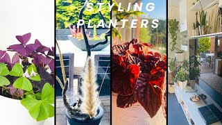 Styling Planters With Exotic Indoor Plants Mini Houseplant Tour Bringing The Outdoors Indoors