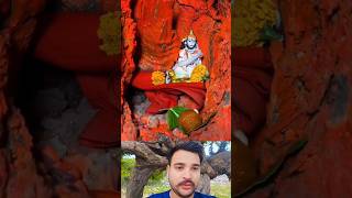 इस पेड़ की एक खास बात है #youtubeshorts #shorts