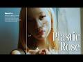 Naomi Rue Plastic Rose Lyric Video Chill Pop 歌詞和訳 mp3