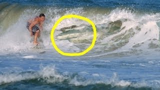 Surfing Shark Infested Waters