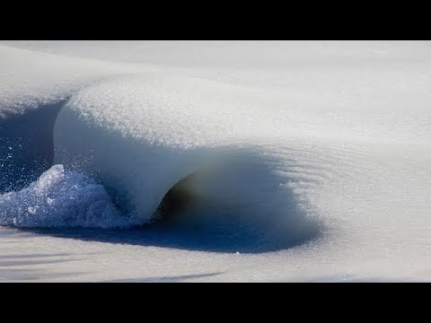 Slurpee Waves return to Nantucket in this rare video