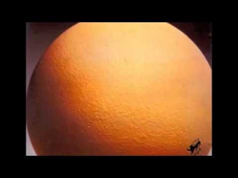 Egg - Wring Out the Ground
