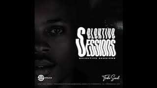 Selektive Sessions 015 Mixed by Tribesoul