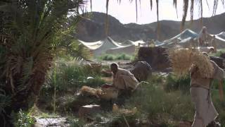 The Bible (His Story)