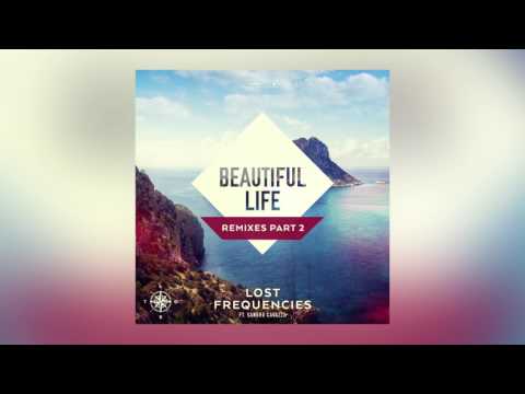 Lost Frequencies - Beautiful Life Feat. Sandro Cavazza (R.O. Remix) [Cover Art]