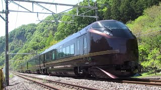 JR東日本 上越線 団体臨時列車 『なごみ(和)』越後湯沢行き（往路） 津久田～岩本間通過