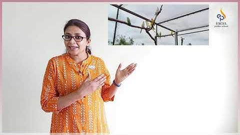 24/07/2020 | Math | Estimation | Class-2