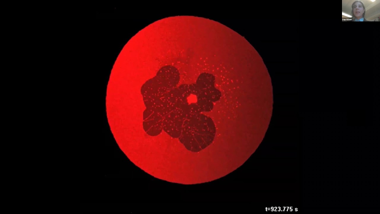 Did surfaces enable the origins of life? Research webinar with Professor Irep Gözen, March 10, 2021