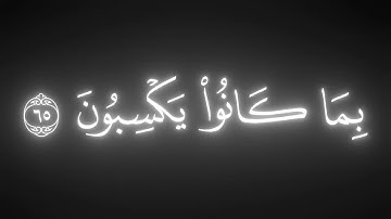 اليَومَ نَختِمُ عَلى أَفواهِهِم || كروما قران كريم شاشة سوداء || محمد اللحيدان