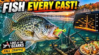 The Fall Crappie Pattern Is HERE — Limit in 1 Hour! | Catch, Clean & Cook