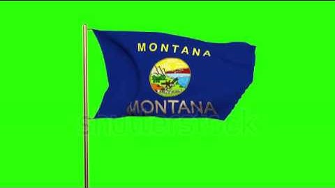 montana flag with title waving in the wind. Looping sun rises style. Animation loop Stock video by
