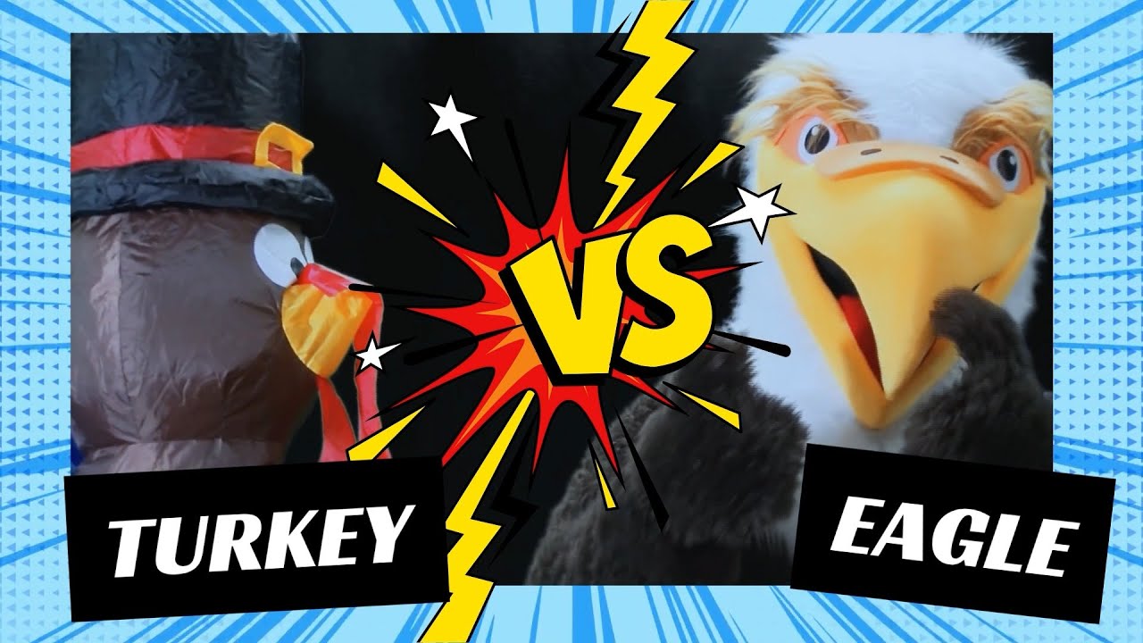Week 15 - Eagle vs Turkey