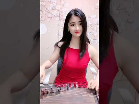 《恋曲1990》guzheng 古筝，性感美女，直播现奏，live Tình Khúc