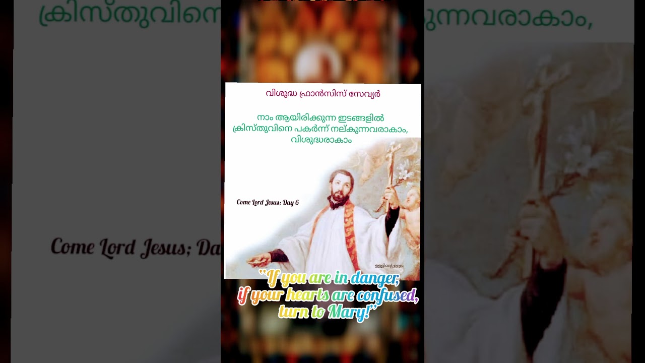 Saint Francis Xavier, Patron of India, Priest - Solemnity