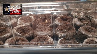 How to Garden on a budget! Using the Jiffy starter kit