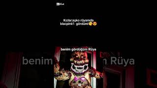 Hep Rüyama Girdi Mk