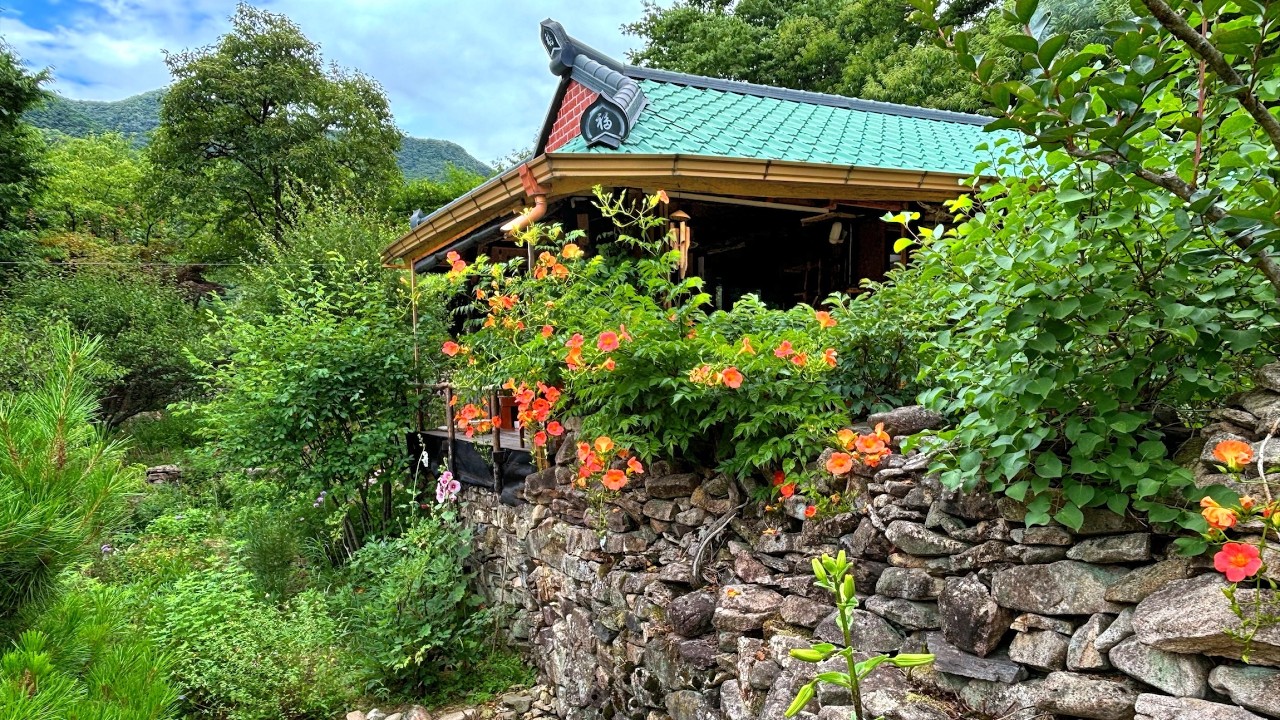 Сельский домик среди цветов | Картофель и садоводство🥔🥬 | Сделай сам мост для моего кота 🪵