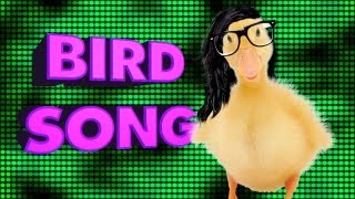 Bird Song : animated music video : MrWeebl