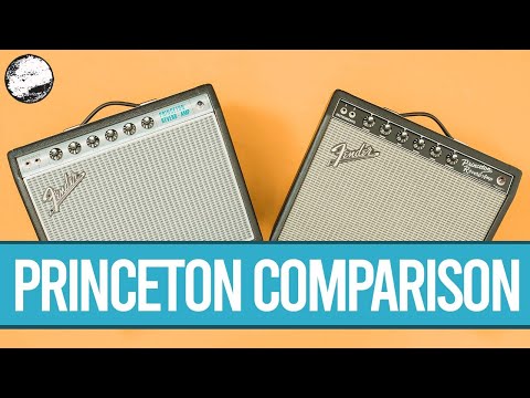 fender-princeton-reverb-amp-comparison-|-world-of-music