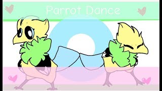 Parrot Dance