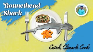 Southern Fried Bonnethead shark catch, clean and cook. East Point, Florida bridge Fishing.
