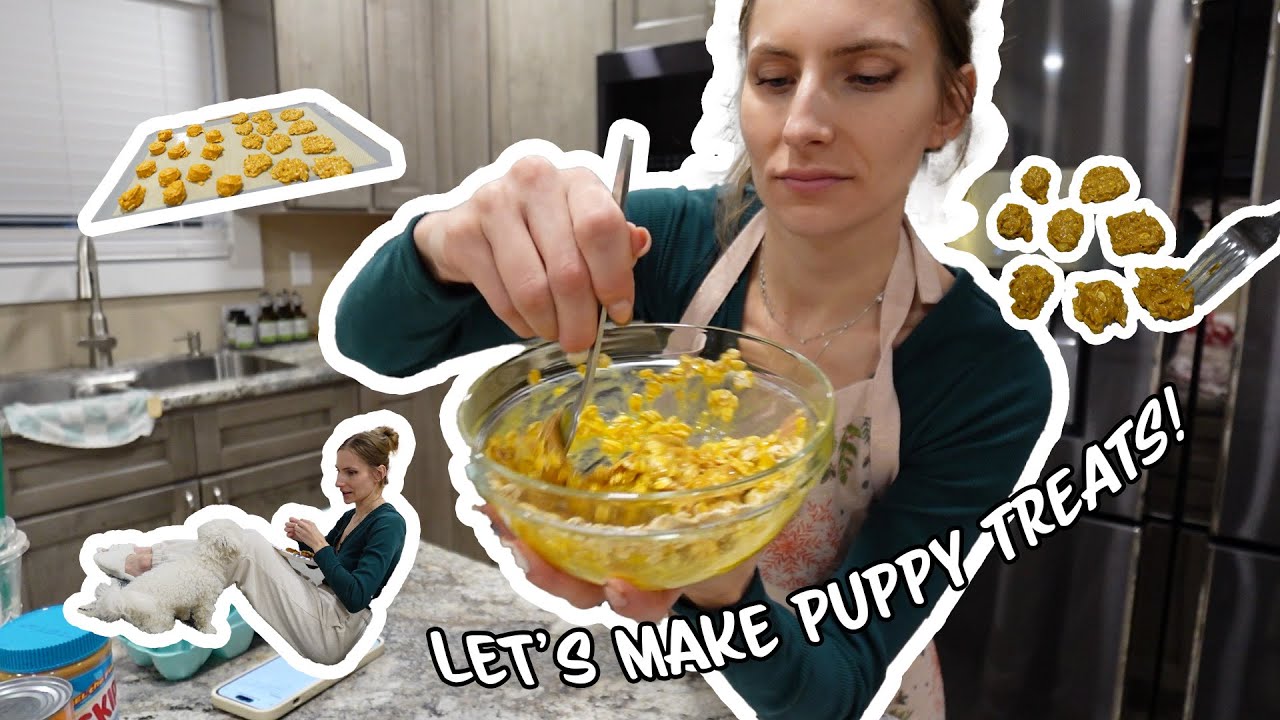 making HOMEMADE DOG TREATS Fast and Easy :) ***Vlogmas Day 9!