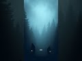 The Crew That Walked Into the Forest and Never Returned